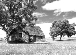 Szary + Sepia