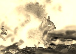 Sepia + Negatyw