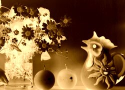 Sepia + Negatyw