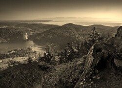 Szary + Sepia