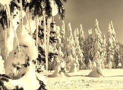 Szary + Sepia