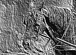 Skamielina