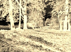 Sepia + Negatyw