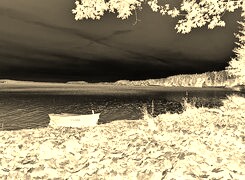 Sepia + Negatyw