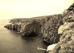 Sepia