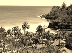 Szary + Sepia