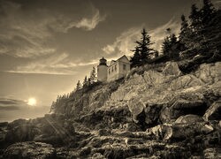 Szary + Sepia