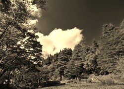 Sepia