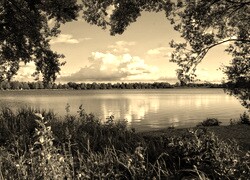 Szary + Sepia