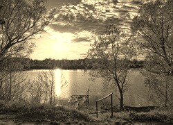 Szary + Sepia