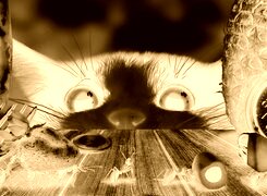 Sepia + Negatyw