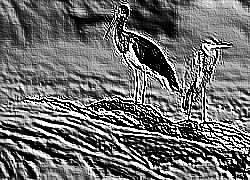 Skamielina