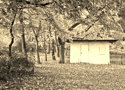 Sepia