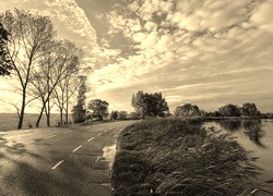 Szary + Sepia