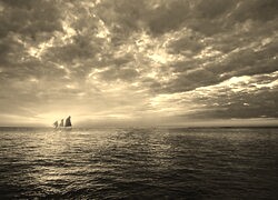Szary + Sepia
