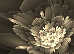 Szary + Sepia