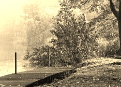 Szary + Sepia