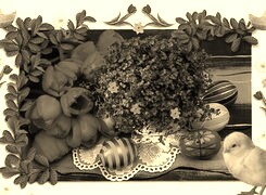 Szary + Sepia