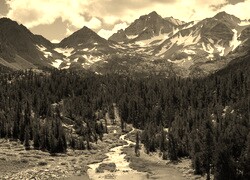 Sepia