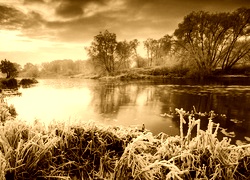 Sepia