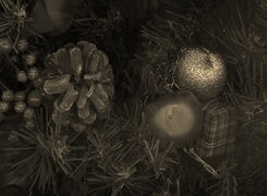 Szary + Sepia