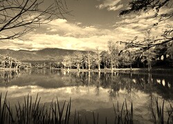 Szary + Sepia