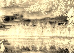 Sepia + Negatyw