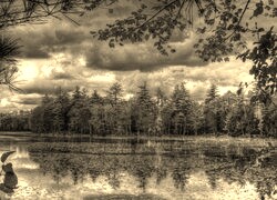 Szary + Sepia