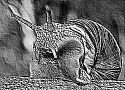 Skamielina