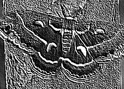 Skamielina