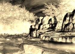 Sepia + Negatyw