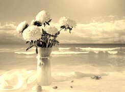 Szary + Sepia