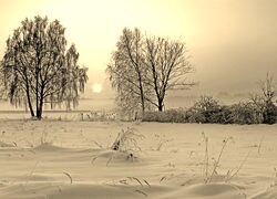 Sepia