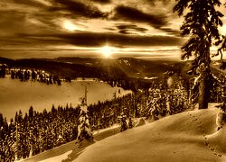 Sepia
