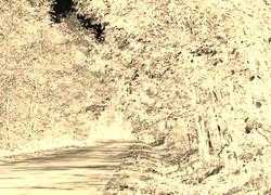 Sepia + Negatyw