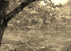 Szary + Sepia