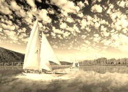 Szary + Sepia