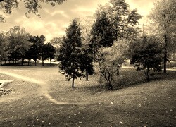 Szary + Sepia