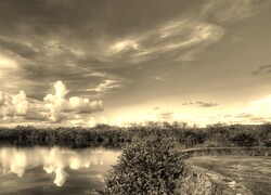 Szary + Sepia