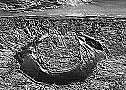 Skamielina