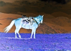 Negatyw