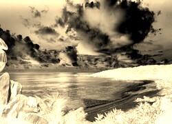 Sepia + Negatyw