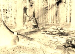 Sepia + Negatyw