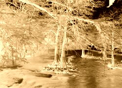 Sepia + Negatyw
