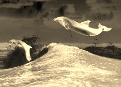 Sepia + Negatyw