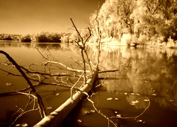 Sepia