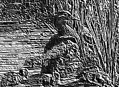 Skamielina