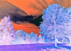 Negatyw