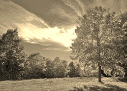 Sepia