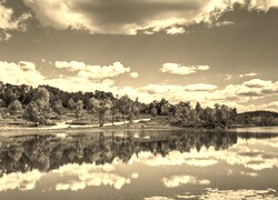 Szary + Sepia